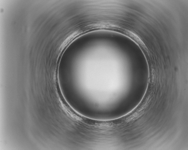 X0000060260946200511010909