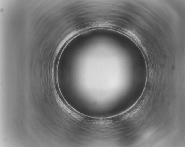 X0000060260947200511010909