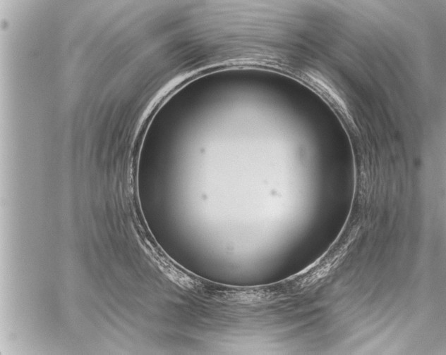 X0000060260948200511010909