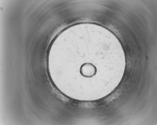 X0000060260950200511010909