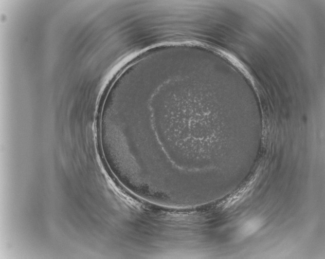 X0000060260951200511010909