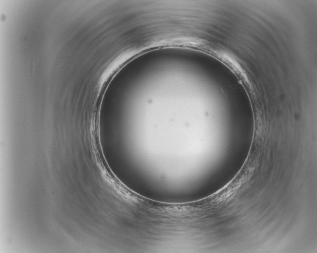 X0000060260952200511010909