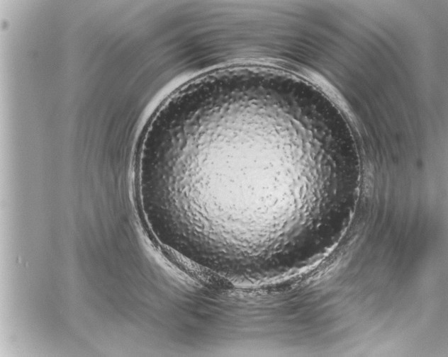 X0000060260955200511010909