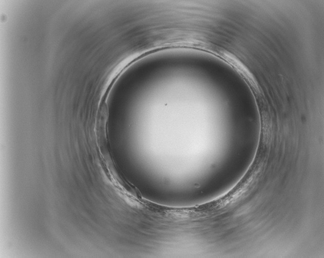 X0000060260956200511010909