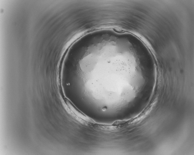 X0000060260957200511010909