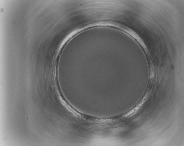 X0000060260958200511010909