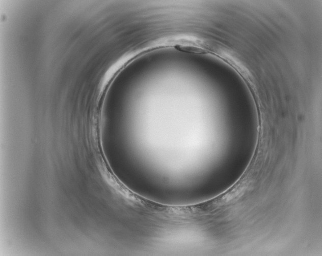 X0000060260960200511010909