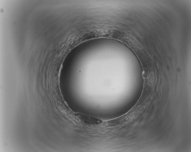 X0000060260961200511010909