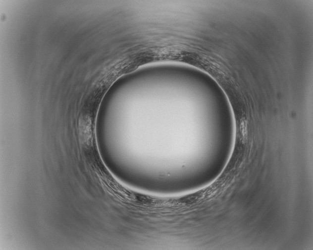 X0000060260963200511010909