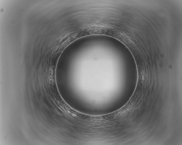 X0000060260964200511010909