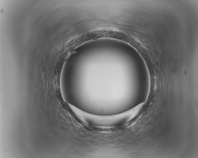 X0000060260965200511010909