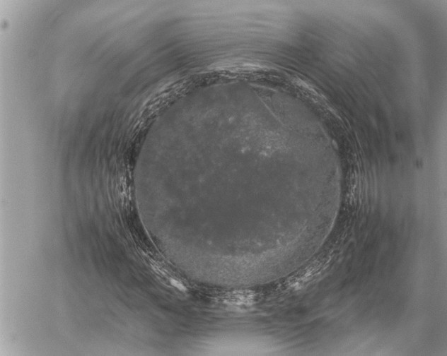 X0000060260966200511010909