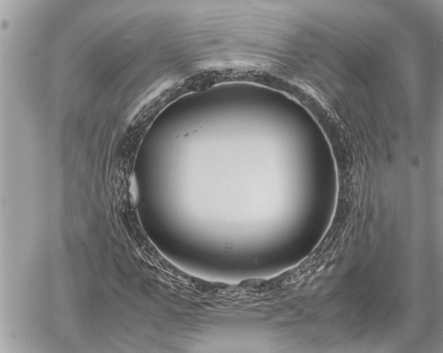 X0000060260967200511010909