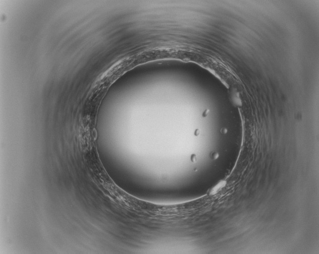 X0000060260968200511010909