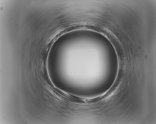 X0000060260969200511010909