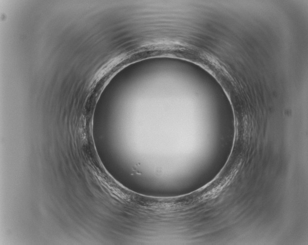 X0000060260970200511010908