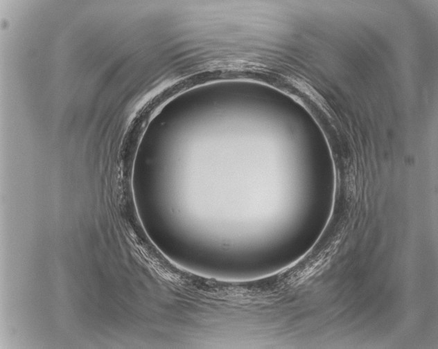 X0000060260971200511010908