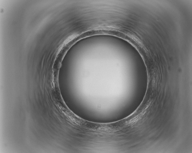 X0000060260974200511010908