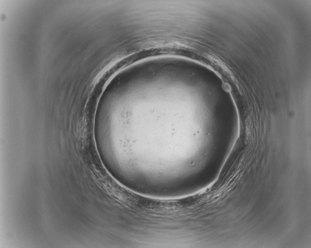 X0000060260975200511010908