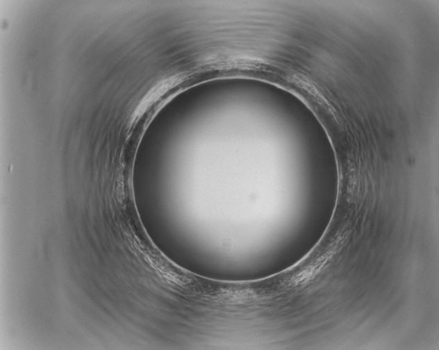 X0000060260978200511010908