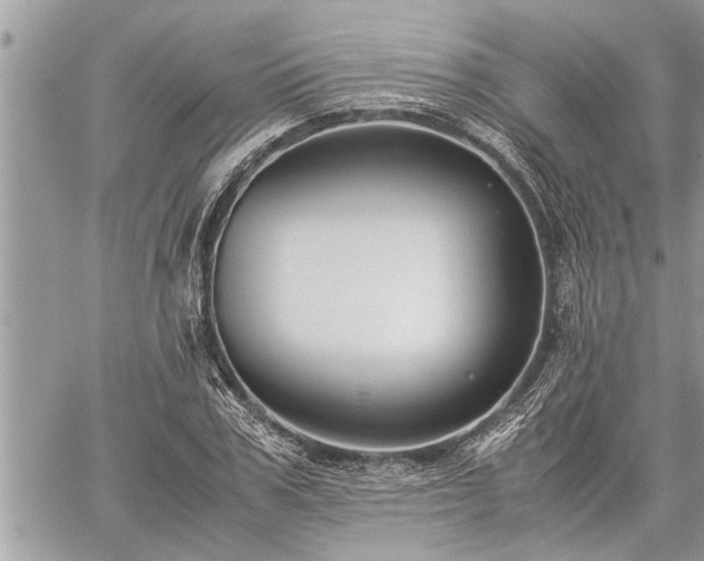 X0000060260979200511010908