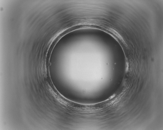 X0000060260980200511010908