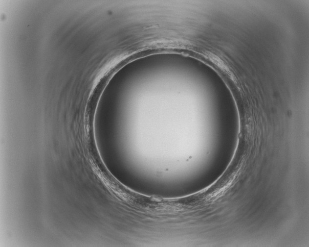 X0000060260981200511010908