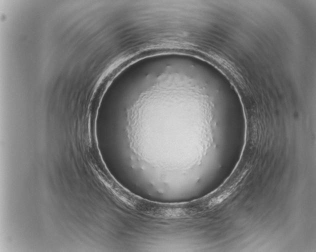 X0000060260982200511010908