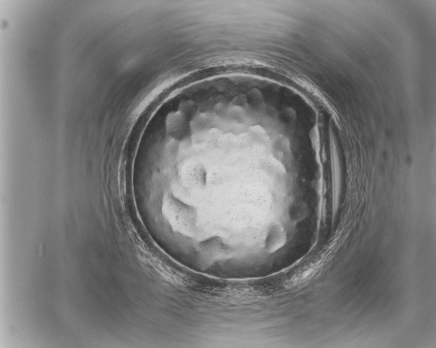 X0000060260983200511010908