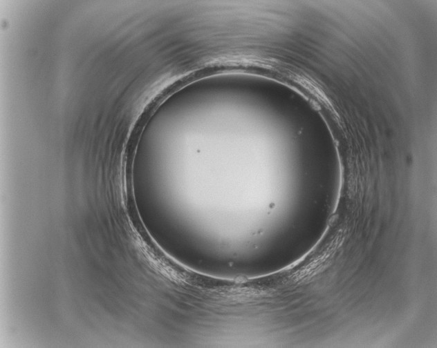 X0000060260984200511010908