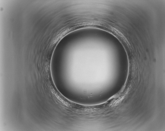 X0000060260985200511010908