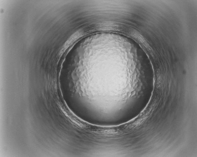 X0000060260986200511010908