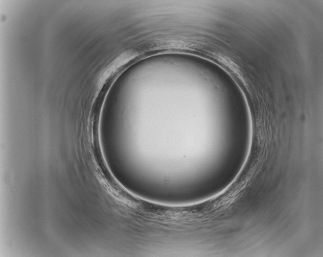 X0000060260987200511010908