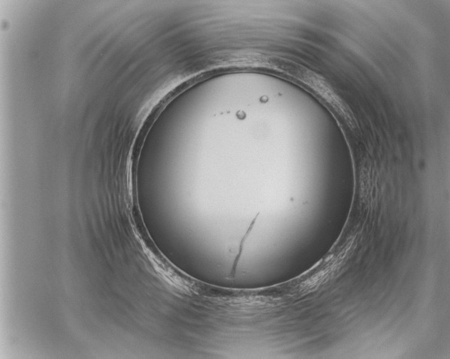 X0000060260988200511010908