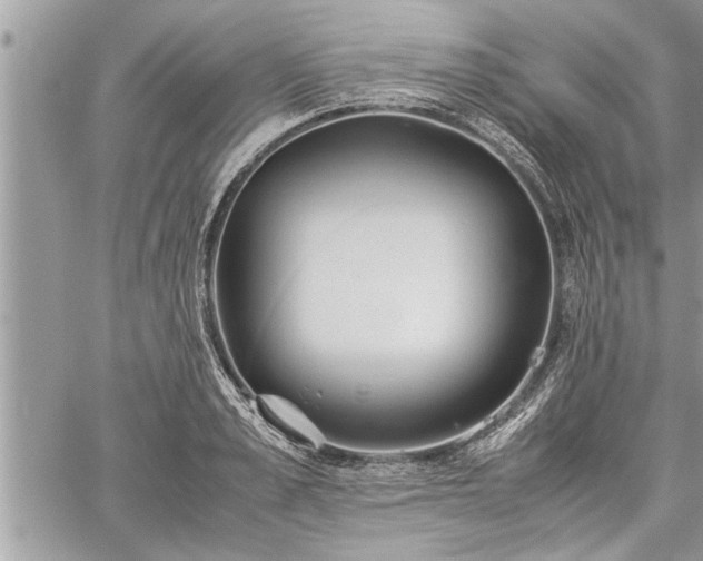 X0000060260989200511010908