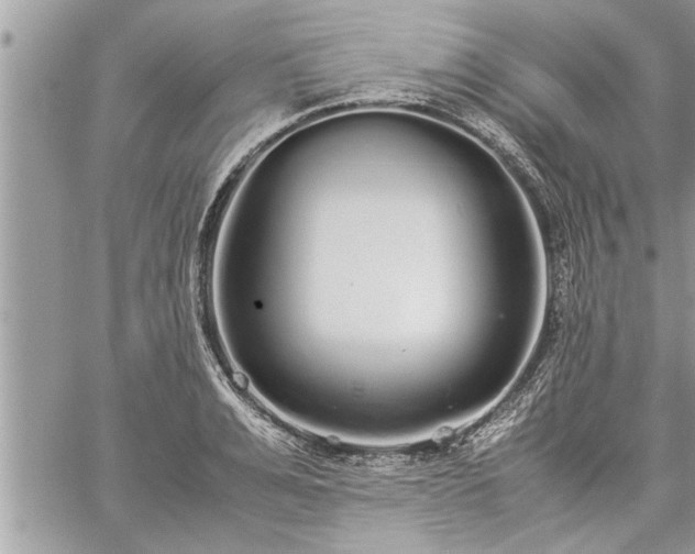 X0000060260991200511010908