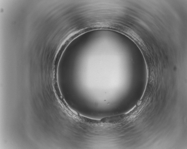 X0000060260992200511010908