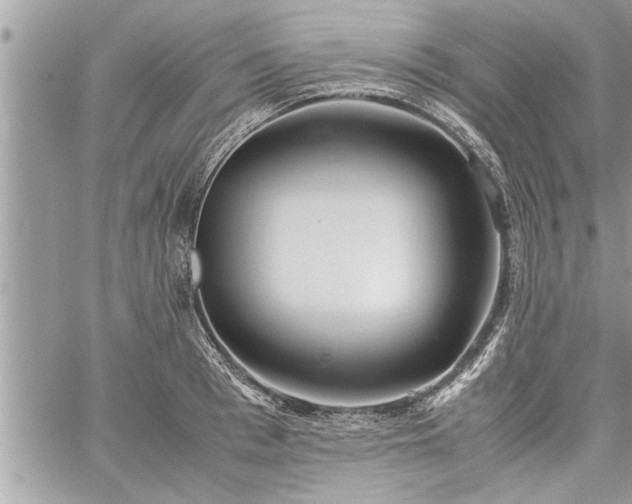 X0000060260993200511010908