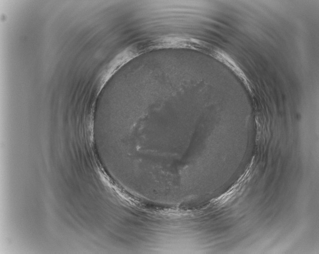 X0000060260994200511010908