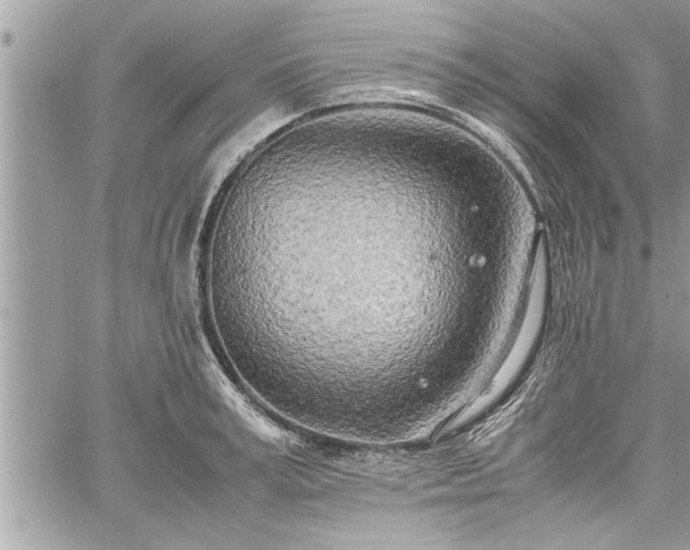 X0000060260995200511010908