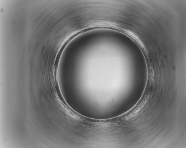 X0000060260996200511010908