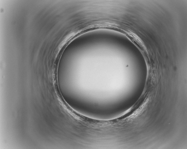 X0000060260997200511010908