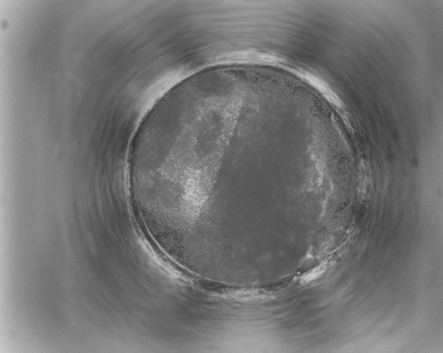 X0000060260998200511010908