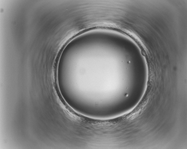 X0000060260999200511010908