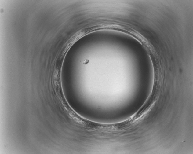 X0000060261001200511010908