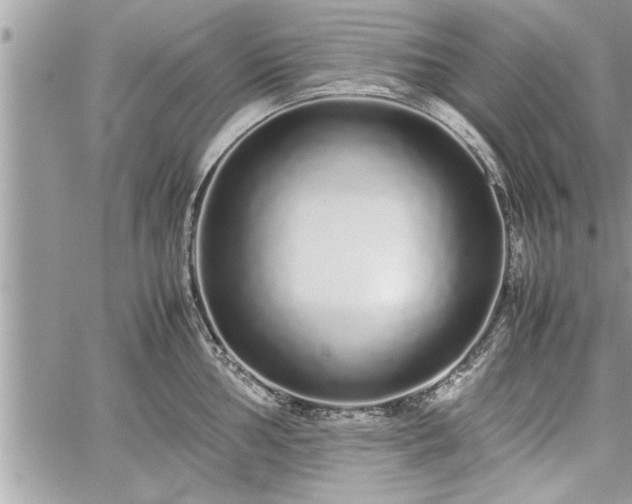 X0000060261002200511010908