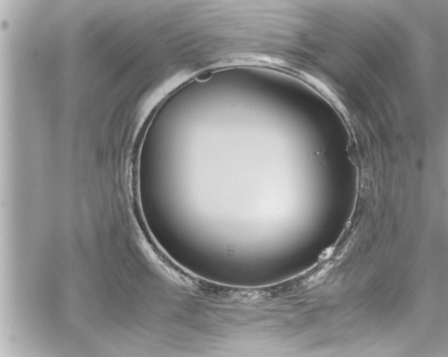 X0000060261003200511010908