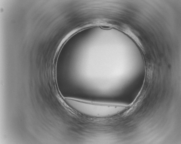 X0000060261004200511010908