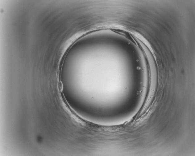 X0000060261005200511010908