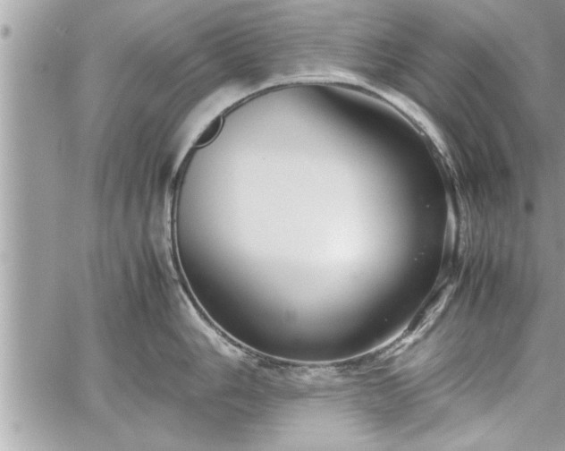 X0000060261006200511010908